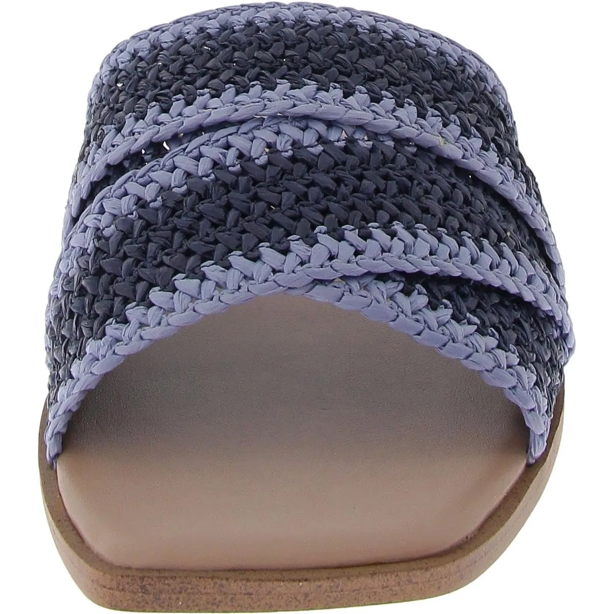 BCBGeneration Womens Summer Flat Sandal, Blue/Light Blue, 10 US