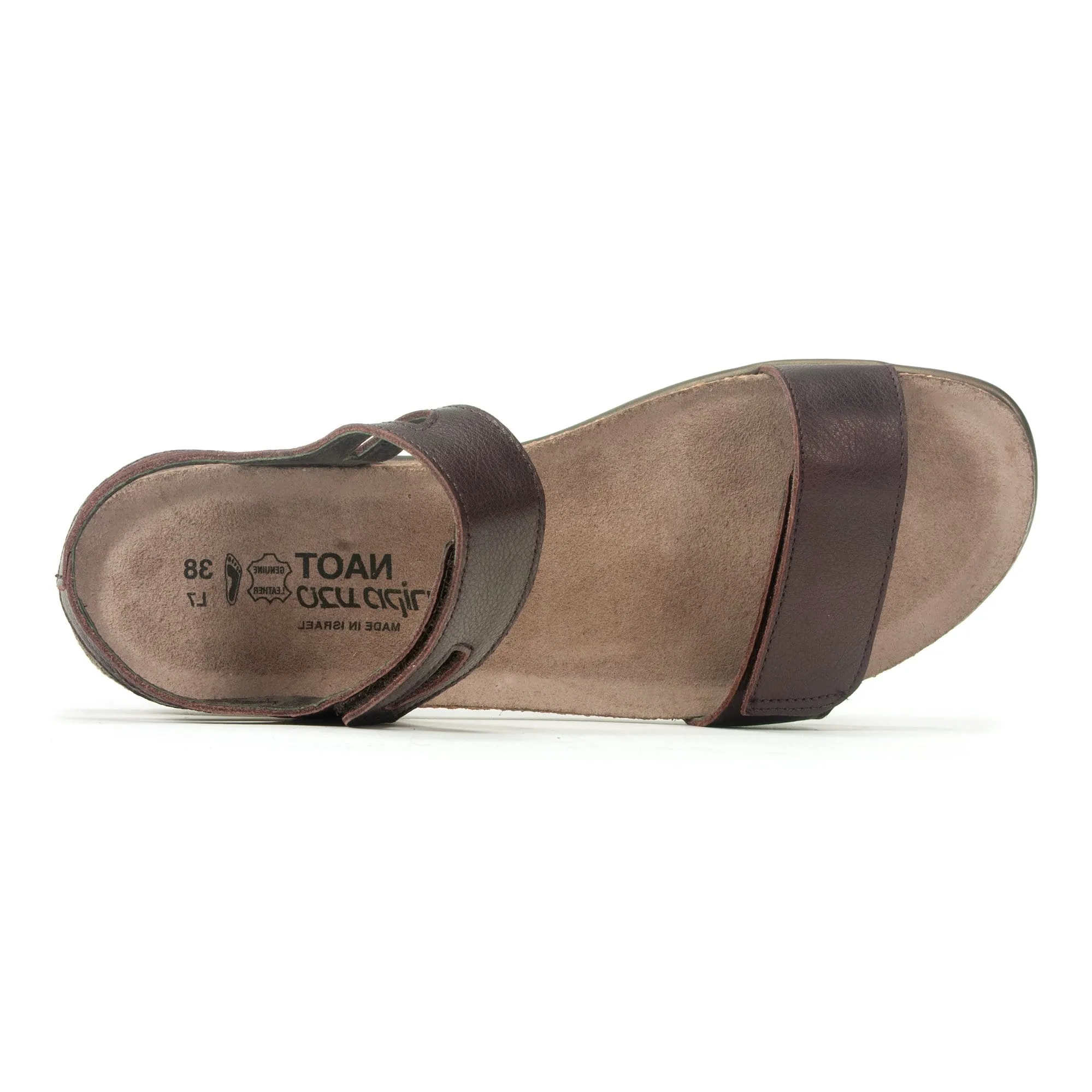 Courtney Sandal (7446)