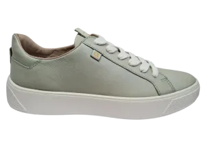 Ecco - Street Tray