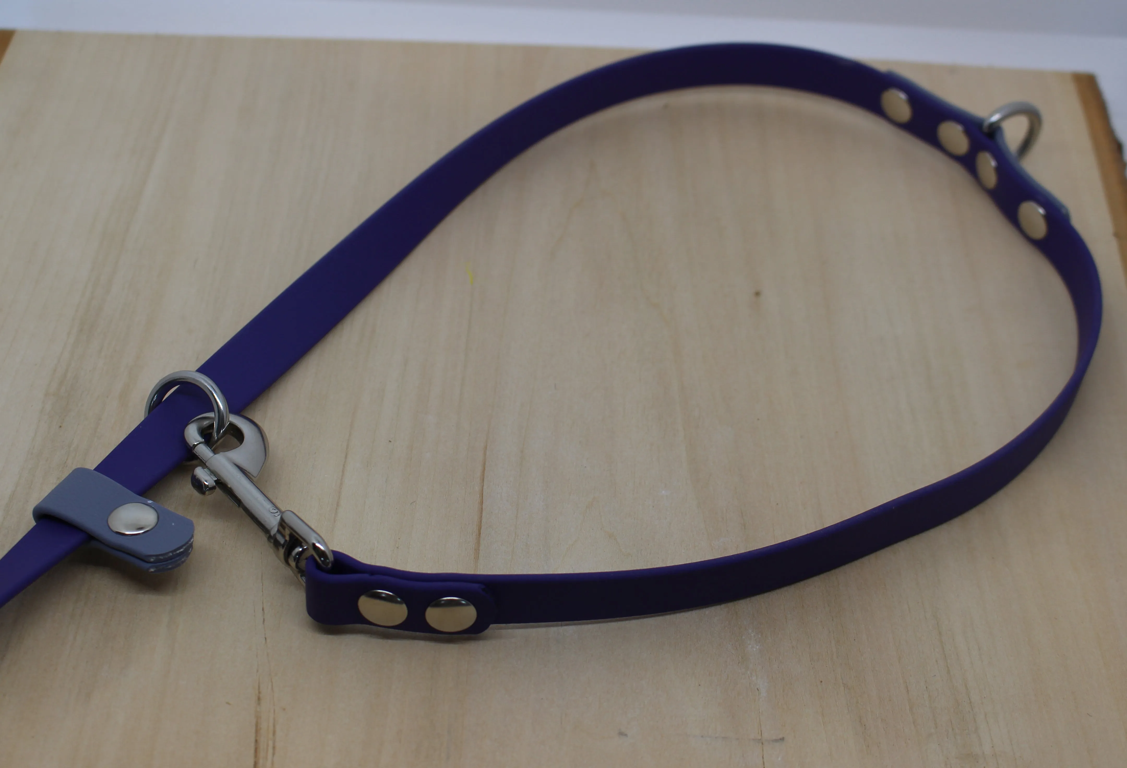 Leash - Versatile