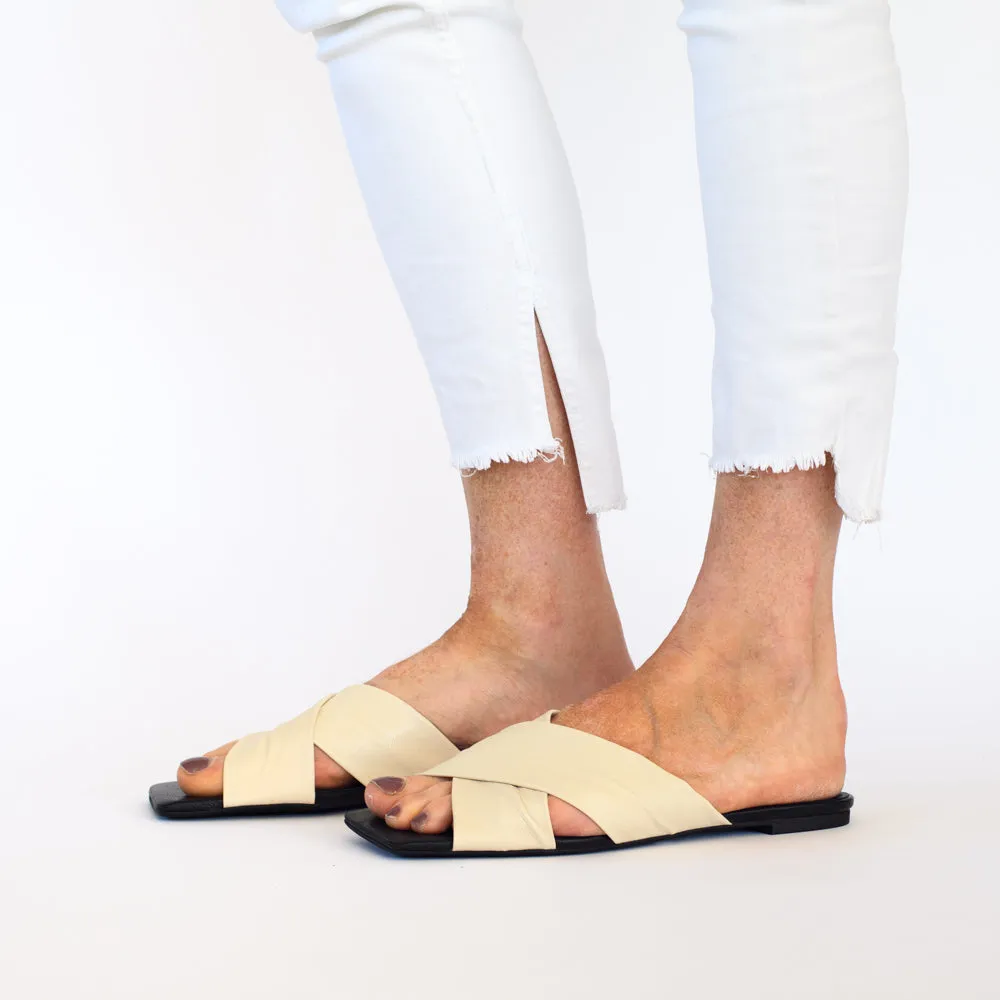 Megs Ivory