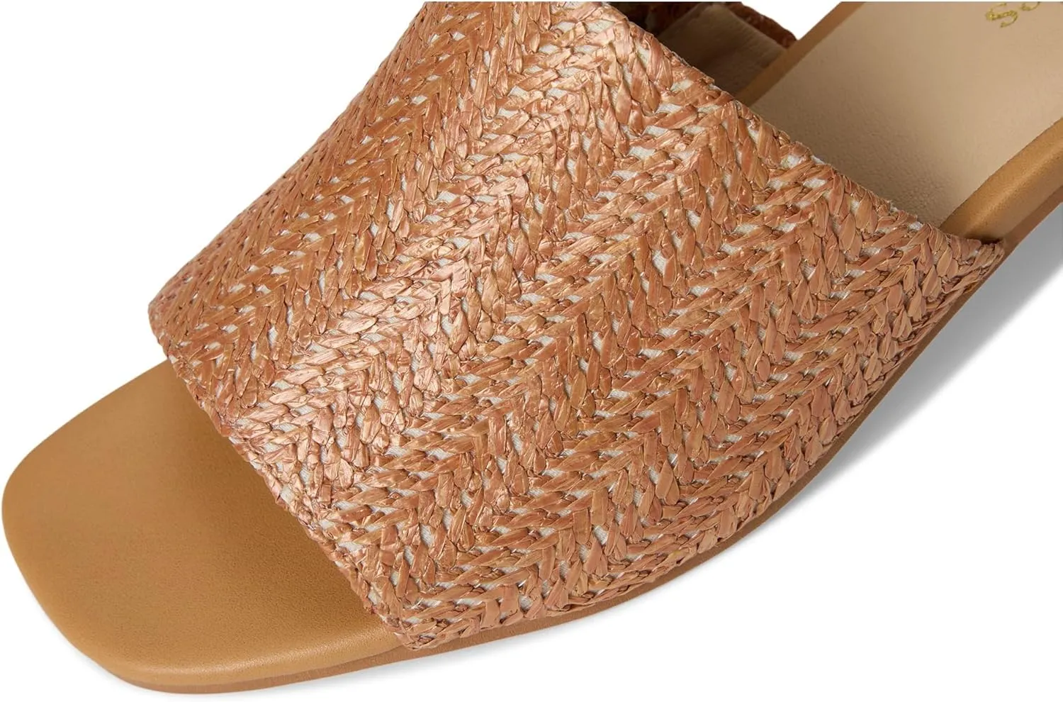 Seychelles Women's Fashion Slide Sandal