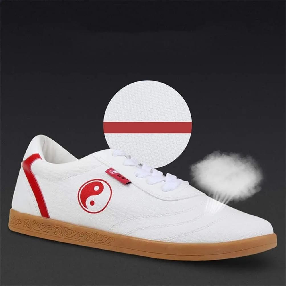 Tai Chi Kung Fu Shoes for Women, Martial Art Sneaker Chinese Traditional Female Qi Gong Beijing Trainer Wing Chun Slipper
