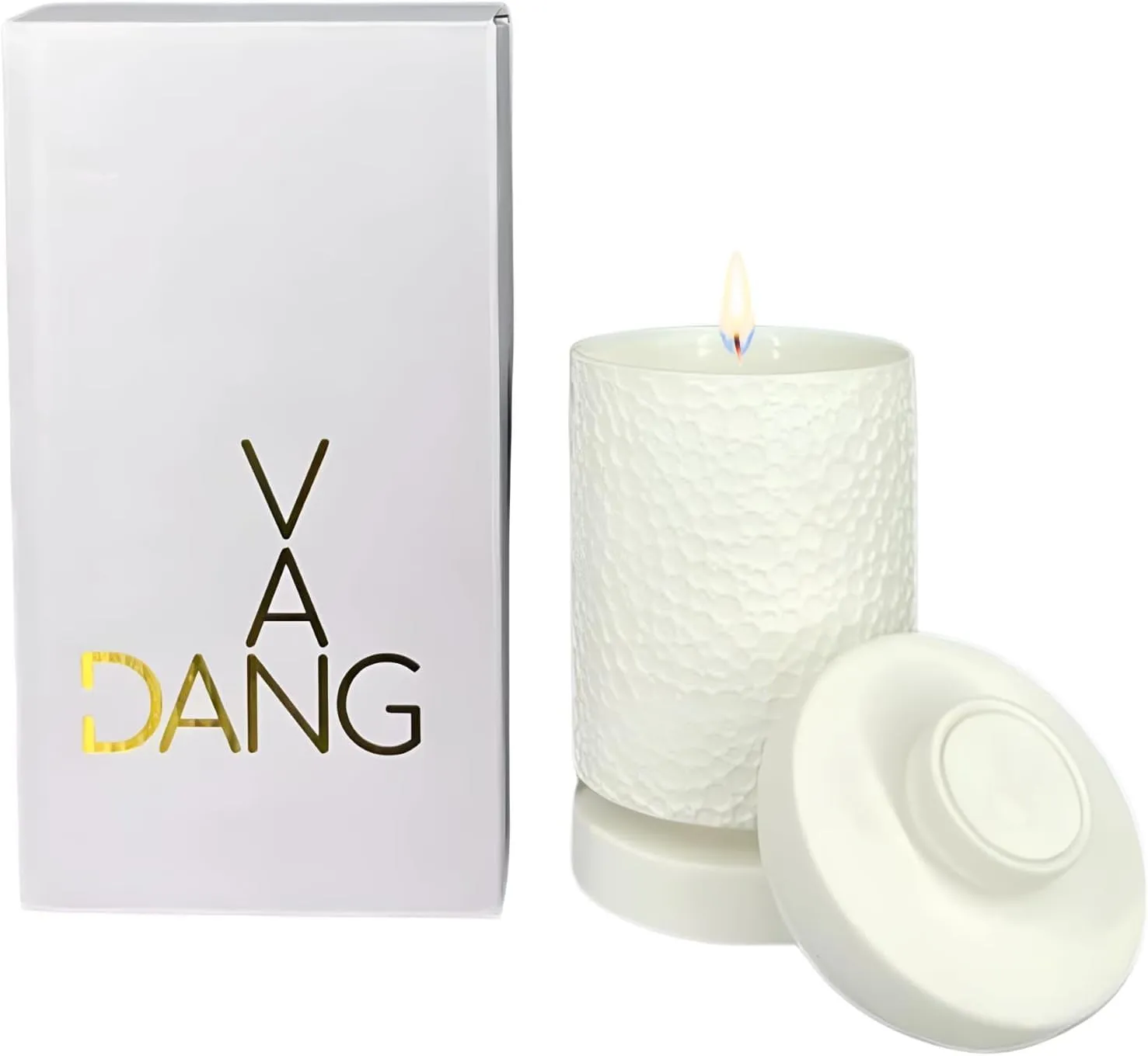 Van Dang Moonscape Candle Texturized Crater Surface Luxury Aromatherapy Home Decor Porcelain Notes of Lavandin Nutmeg Tobacco Suede Vanilla Sandal Long Lasting 80 Hour Burn Time 330g (Night Harvest)