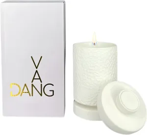 Van Dang Moonscape Candle Texturized Crater Surface Luxury Aromatherapy Home Decor Porcelain Notes of Lavandin Nutmeg Tobacco Suede Vanilla Sandal Long Lasting 80 Hour Burn Time 330g (Night Harvest)